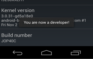 developer options